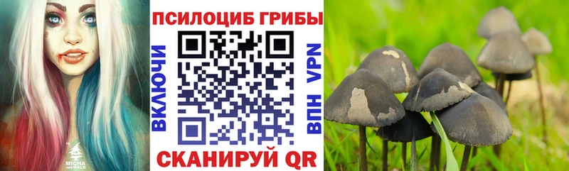 Псилоцибиновые грибы мухоморы  где продают наркотики  гидра ссылки  Кумертау 